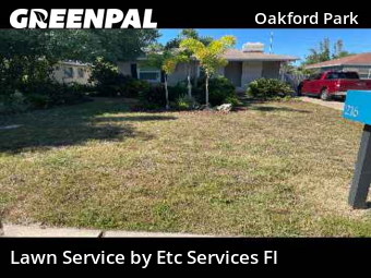 Lawn Maintenancein Tampa,33609,Lawn Cut by Etc Services Fl, work completed in Nov , 2025