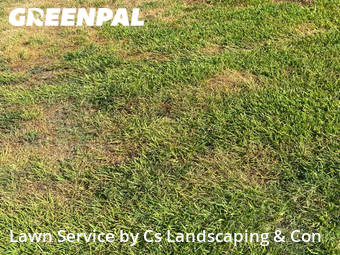 Lawn Service nearby Spring, TX, 