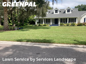 Yard Cutting nearby Kissimmee, FL, 