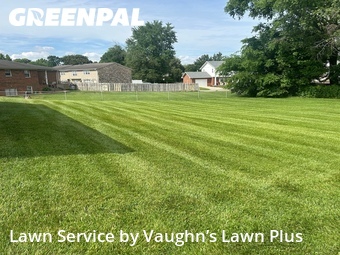 Lawn Cut nearby Evansville, IN, 