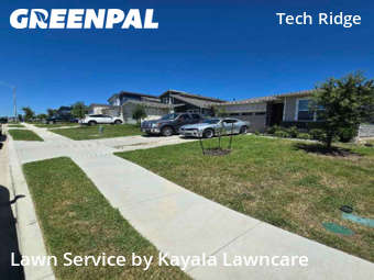 Grass Cut nearby Pflugerville, TX, 