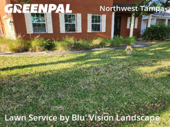 Yard Mowing nearby Tampa, FL, 