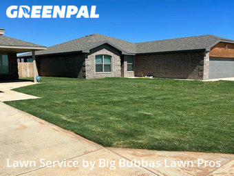 Yard Cutting nearby Lubbock, TX, 
