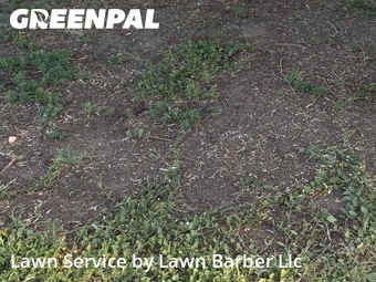 Lawn Mow nearby Greeley, CO, 