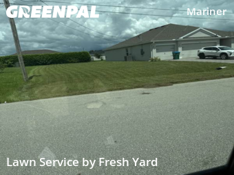 Grass Cut nearby Cape Coral, FL, 