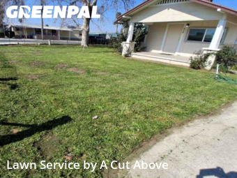 Work completed by lawn-care-experts-near-me-in-Tulare-CA