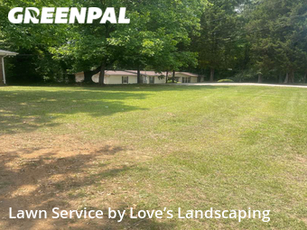 Yard Mowing nearby Ellenwood, GA, 