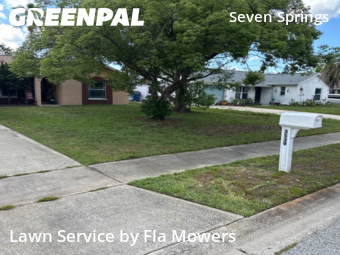 Lawn Care nearby Trinity, FL, 