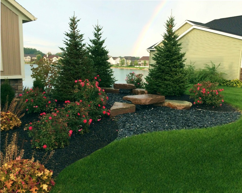 affordable-lawn-services-in-Federal Way-WA