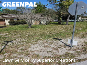Lawn Cutting nearby Spring Hill, FL, 