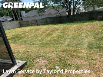 Lawn Maintenancein Ponte Vedra,32082,Lawn Mow by Goodyard , work completed in Nov , 2025