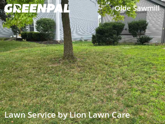 Work completed by lawn-mowing-quotes-in-Dublin-CA