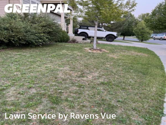 Lawn Cuttingin Erie,80516,Lawn Mowing Service by Ravens Vue, work completed in Nov , 2025