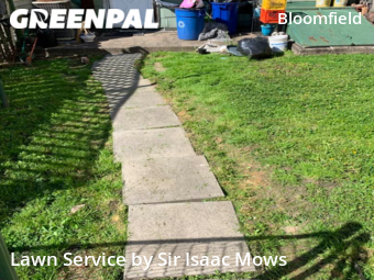 Grass Cut nearby Pittsburgh, PA, 