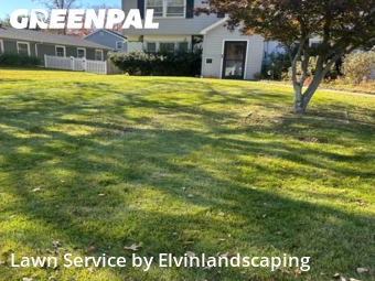 Yard Grooming in Bowie, 20715, Yard Care by Elvinlandscaping, work completed in Nov , 2025