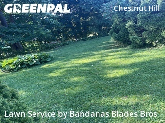 Lawn Mowing nearby Philadelphia, PA, 