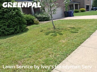 Lawn Mowing Service nearby Lexington, KY, 