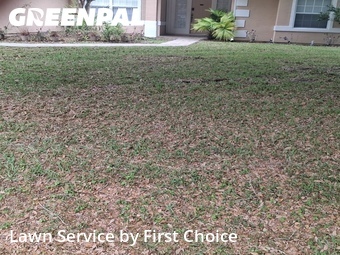 Lawn Care Service nearby Palm Coast, FL, 