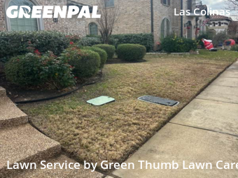 Grass Cutin Irving,75039,Lawn Care Service by Green Thumb Lawn Care, work completed in Dec , 2025