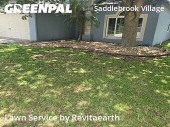 Lawn Service nearby Wesley Chapel, FL, 