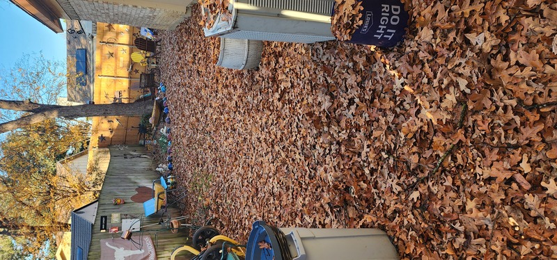 Work Image 1