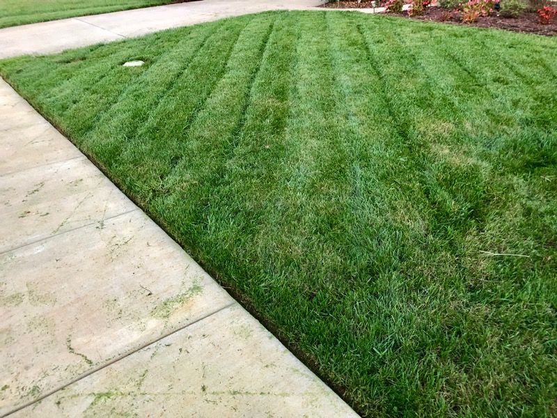 Dominion Lc Tx Lawn Care Services in Indian Trail, TX