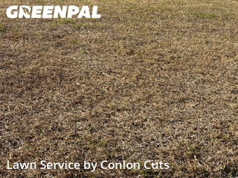 Lawn Care nearby Palmetto, FL, 