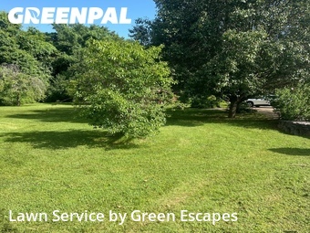 Lawn Cutting nearby Smyrna, TN, 