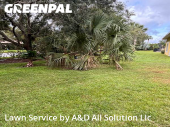 Lawn Cut nearby Kissimmee, FL, 