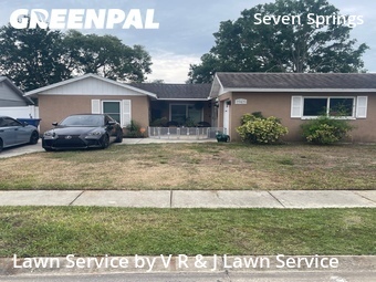 Lawn Cut nearby New Port Richey, FL, 
