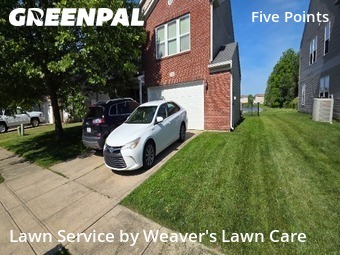 Grass Cut nearby Indianapolis, IN, 