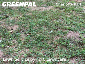 Lawn Cut nearby Nashville, TN, 