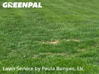 Yard Cutting nearby Papillion, NE, 