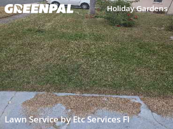 Yard Care in Holiday, 34690, Weekly Mowing by Etc Services Fl, work completed in Dec , 2025