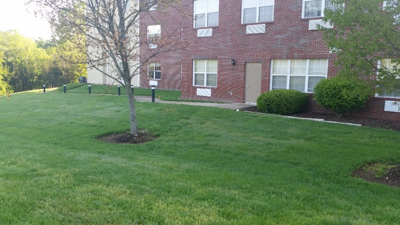 local-lawn-and-landscape-maintenance-services-near-me-in-Springfield-MO