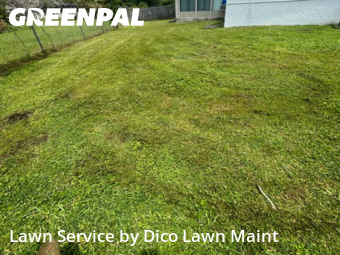 Lawn Cut nearby Tampa, FL, 