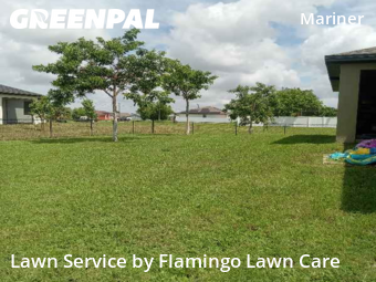 Lawn Cut nearby Cape Coral, FL, 