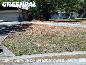 Lawn Cut nearby St. Petersburg, FL, 