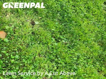 Yard Mowing nearby Hendersonville, TN, 