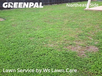 Grass Cutting nearby Converse, TX, 