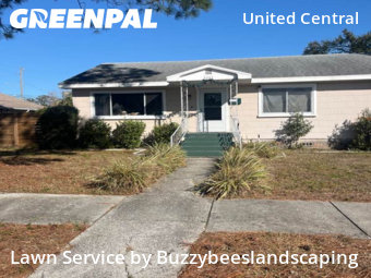 Lawn Cutin St Petersburg,33713,Yard Mowing by Buzzybeeslandscaping, work completed in Jun , 2026