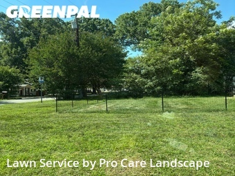 Lawn Mow nearby Concord, NC, 