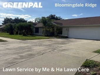 Lawn Maintenance nearby Valrico, FL, 