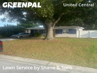 Lawn Mowing Service nearby St. Petersburg, FL, 