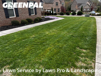 Grass Cutting nearby Greensboro, NC, 