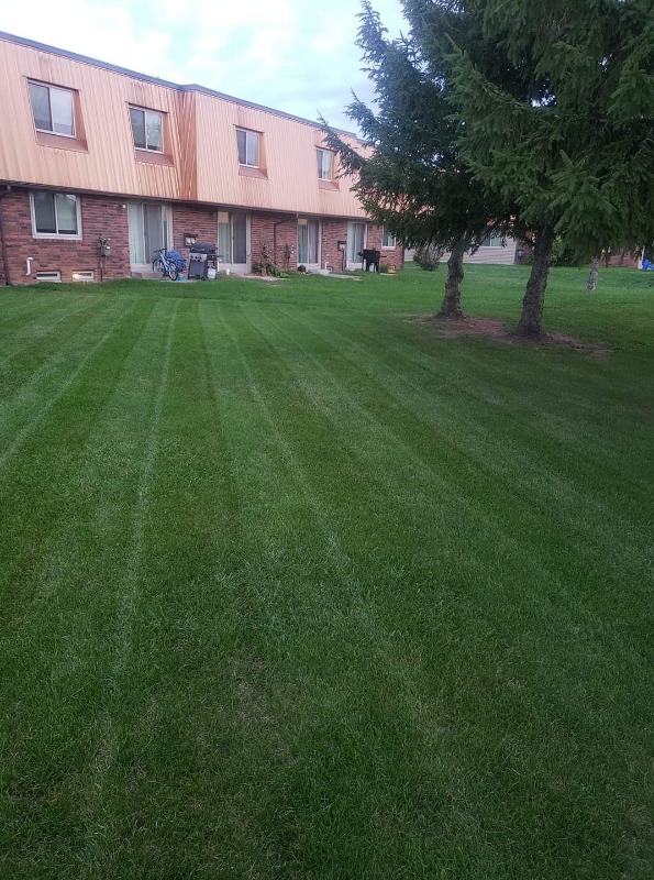 All About Lawncare Lawn Care Services in Kansas City, KS