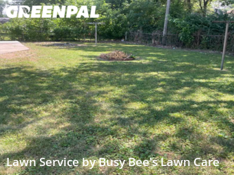 Grass Cut nearby Granite City, IL, 