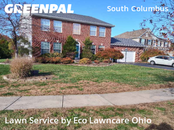 Backyard Mowing in Pickerington, 43147, Yard Grooming by Eco Lawncare Ohio, work completed in Nov , 2025