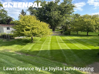 Yard Mowing nearby Mokena, IL, 