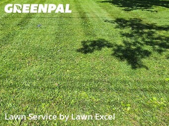 Grass Cutting nearby Noblesville, IN, 